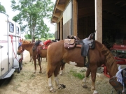 Chief_Josef_Trail_2009