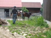 Chief_Josef_Trail_2009