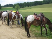 Chief_Josef_Trail_2009
