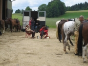 Chief_Josef_Trail_2009