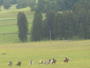 Chief_Josef_Trail_2009