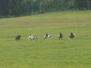 Chief_Josef_Trail_2009
