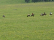 Chief_Josef_Trail_2009