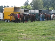 Chief_Josef_Trail_2009