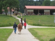 Chief_Josef_Trail_2009