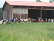 Chief_Josef_Trail_2009