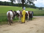 Chief_Josef_Trail_2009