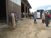 Chief_Josef_Trail_2009