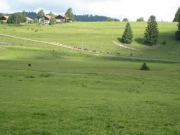 Chief_Josef_Trail_2009