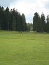 Chief_Josef_Trail_2009