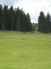 Chief_Josef_Trail_2009