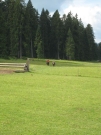 Chief_Josef_Trail_2009