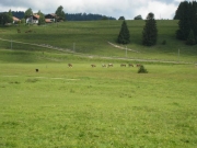 Chief_Josef_Trail_2009