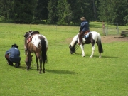 Chief_Josef_Trail_2009