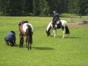 Chief_Josef_Trail_2009