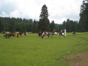 Chief_Josef_Trail_2009
