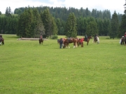 Chief_Josef_Trail_2009