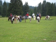 Chief_Josef_Trail_2009
