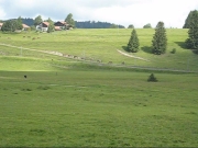 Chief_Josef_Trail_2009