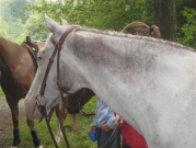 Chief_Josef_Trail_2010