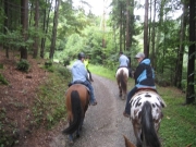Chief_Josef_Trail_2010