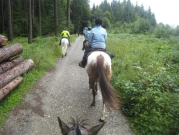 Chief_Josef_Trail_2010
