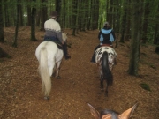 Chief_Josef_Trail_2010
