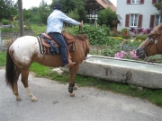 Chief_Josef_Trail_2010