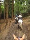 Chief_Josef_Trail_2010