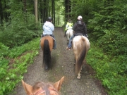 Chief_Josef_Trail_2010