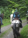 Chief_Josef_Trail_2010