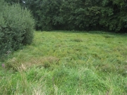 Chief_Josef_Trail_2010