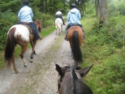 Chief_Josef_Trail_2010