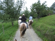 Chief_Josef_Trail_2010