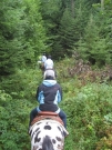 Chief_Josef_Trail_2010