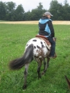 Chief_Josef_Trail_2010