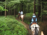 Chief_Josef_Trail_2010