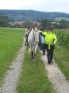 Chief_Josef_Trail_2010