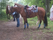 Chief_Josef_Trail_2010