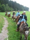 Chief_Josef_Trail_2010