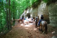 Chief_Josef_Trail_2011