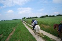 Chief_Josef_Trail_2011