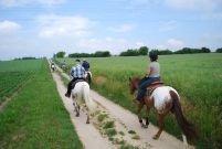 Chief_Josef_Trail_2011