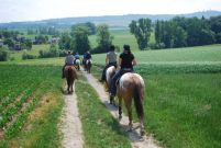 Chief_Josef_Trail_2011