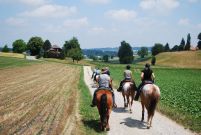 Chief_Josef_Trail_2011