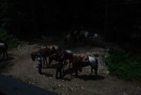 Chief_Josef_Trail_2011