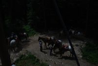Chief_Josef_Trail_2011