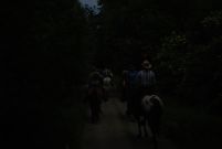 Chief_Josef_Trail_2011