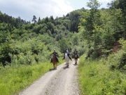Chief_Josef_Trail_2012