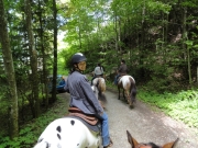 Chief_Josef_Trail_2012